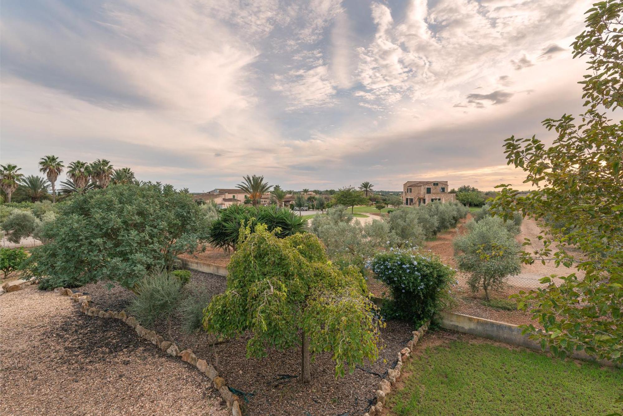 Finca Hotel Can Canals & Spa Campos  Exterior foto